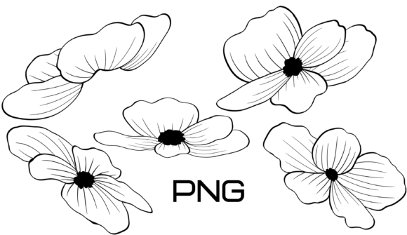 Unlocking Creative Potential: A Guide to Using High-Resolution Anemone Floral Line Art in Modern Design